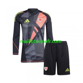 Maillot de Foot Pays de Galles Gardien Domicile 2024 Manches Longues - Enfant